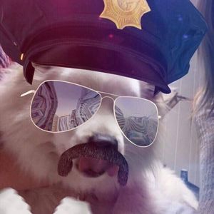 Meet your Posher, Vinh